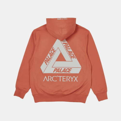 ARC'TERYX x PALACE "OCHRE"