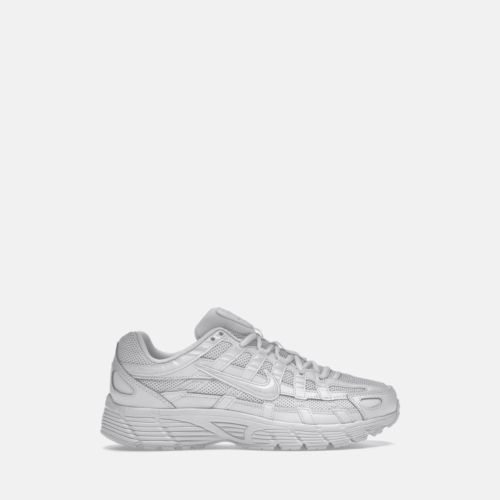 NIKE x TRIPLE P 6000